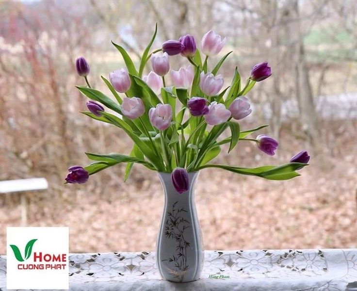  Vase_Bình hoa bầu miệng vuông 24cm MLCT 