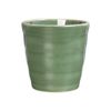  Jade - Cup 8.4 x 8.5cm - Ly 8.4 x 8.5cm màu xanh 21 