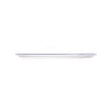  Blanche (Daisy) - Show Plate 26cm - Dĩa bằng 26cm lộc phát vẽ bông cúc 