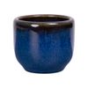 Saphir - Cup 4.4 x 3.7cm - Ly rượu 4.4 x 3.7cm xanh viền nâu