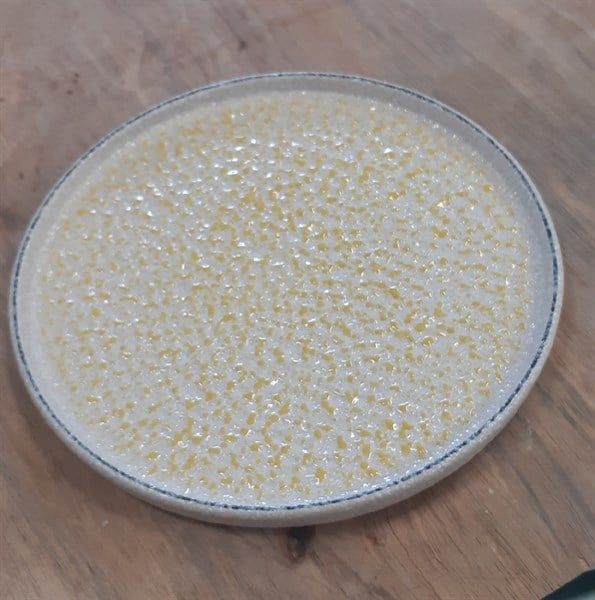  Blanche - Round Flat Plate 22cm - Dĩa tròn vành đứng 22cm lộc phát lòng vàng tàn ong 