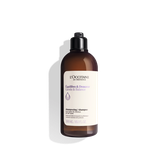  Dầu Gội Cân Bằng Dịu Nhẹ Dành Cho Mọi Loại Da Đầu L'Occitane Gentle & Balance Micellar Shampoo 300ml 