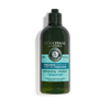 Dầu Gội Thanh Lọc Dành Cho Da Đầu Dầu L'Occitane Purifying Freshness Shampoo 300ml