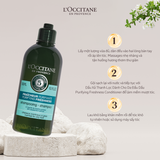  Dầu Gội Thanh Lọc Dành Cho Da Đầu Dầu L'Occitane Purifying Freshness Shampoo 300ml 