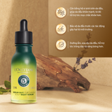  Tinh Chất Dưỡng Da Đầu Ban Đêm L'Occitane Scalp Night Serum 50ML 