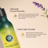  Tinh Chất Dưỡng Da Đầu Ban Đêm L'Occitane Scalp Night Serum 50ML 