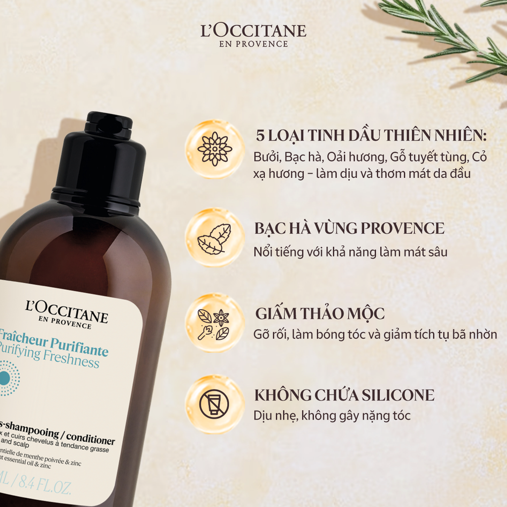 Dầu Xả Thanh Lọc Tươi Mát