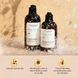  Dầu Xả Dịu Nhẹ Dành Cho Mọi Loại Da Đầu L'Occitane Gentle & Balance Conditioner 250ML 