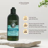  Dầu Gội Thanh Lọc Dành Cho Da Đầu Dầu L'Occitane Purifying Freshness Shampoo 300ml 