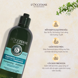  Dầu Gội Thanh Lọc Dành Cho Da Đầu Dầu L'Occitane Purifying Freshness Shampoo 300ml 