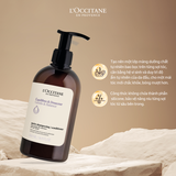  Dầu Xả Cân Bằng Cho Mọi Loại Da Đầu L'Occitane Gentle & Balance Conditioner 500ML 