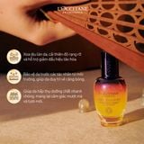  Dưỡng Chất Tái Sinh Quyền Năng L'Occitane Immortelle Reset Serum 