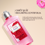  Gel Tắm Hương Hoa Hồng L'Occitane Rose Shower Gel 250ml 