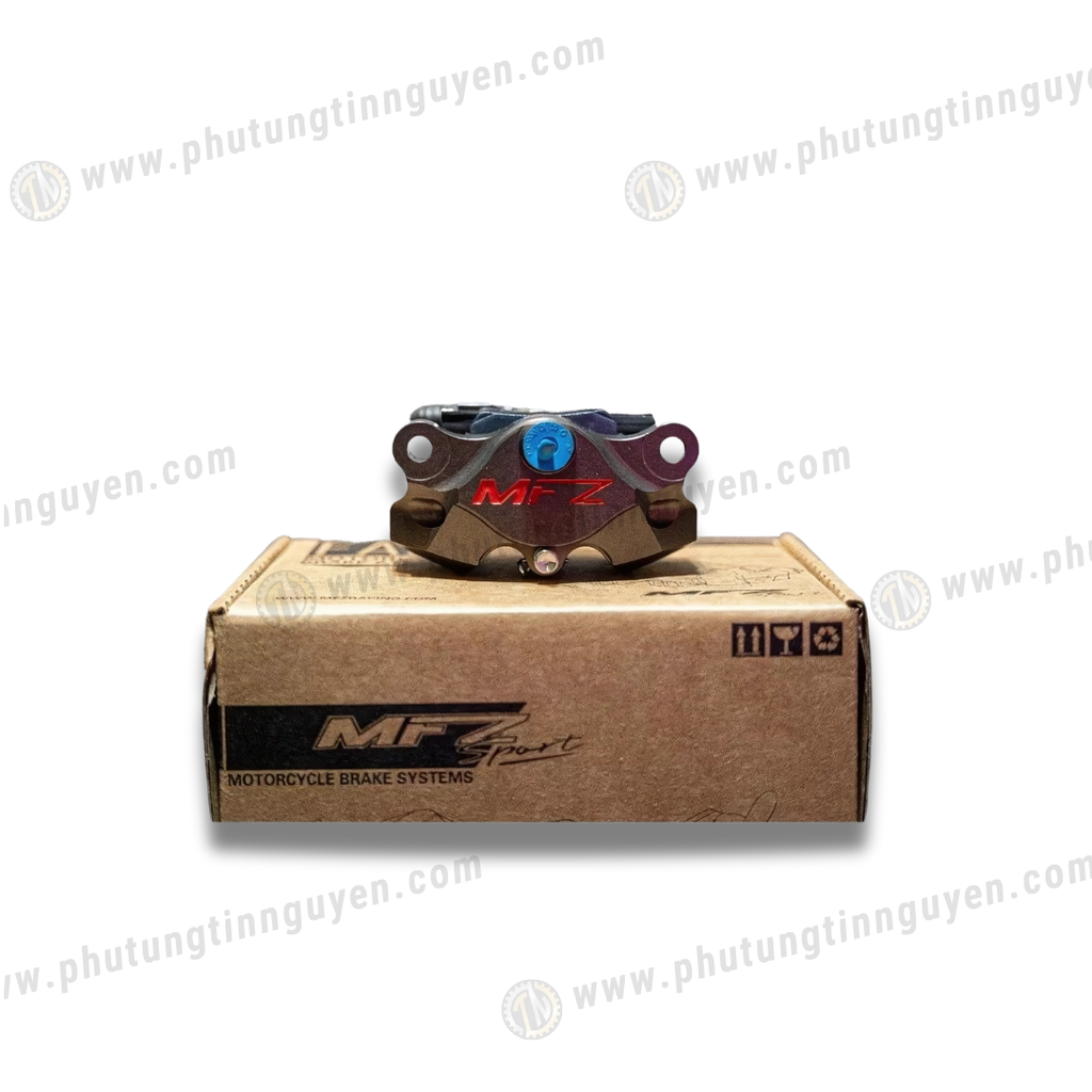 HEO 2PIS V1/V2 MFZ