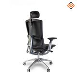  Ghế công thái học SMA Life 01P 