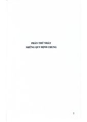 Mô Hình Luật Hình Sự Việt Nam - GS.TS Nguyễn Ngọc Hòa