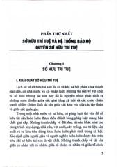 Quyền Sở Hữu Trí Tuệ, Bảo Vệ Và Chuyển Giao  - PGS.TS.Phùng Trung Tập