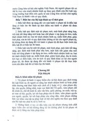 Bộ Luật Hình Sự Năm 2015 Sửa Đổi, Bổ Sung Năm 2017, Bộ Luật Tố Tụng Hình Sự, Luật Tổ Chức Cơ Quan Điều Tra Hình Sự, Luật Thi Hành Tạm Giữ, Tạm Giam  - Quốc Hội