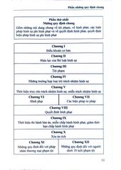 Mô Hình Luật Hình Sự Việt Nam - GS.TS Nguyễn Ngọc Hòa