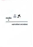  Hợp Đồng Trong Lĩnh Vực Lao Động (Sách Chuyên Khảo) - PGS.TS.Trần Thị Thúy Lâm
TS. Đỗ Thị Dung 