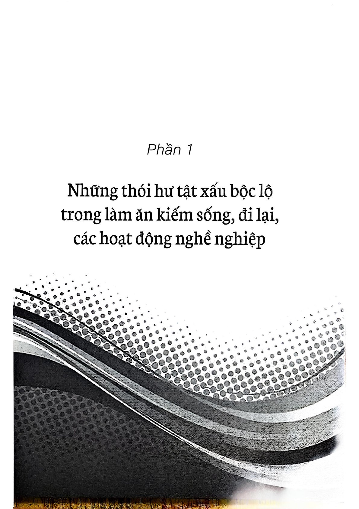 Cái Vội Của Người Mình - Vương Trí Nhàn