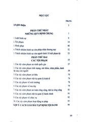 Mô Hình Luật Hình Sự Việt Nam - GS.TS Nguyễn Ngọc Hòa