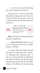 Yoga Sutra (Dịch Từ Tiếng Phạn) - Patanjali