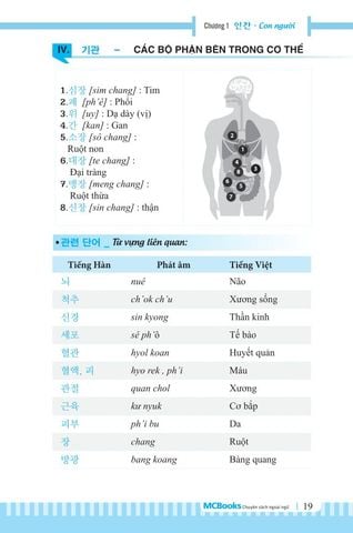  3000 Từ Vựng Tiếng Hàn Theo Chủ Đề 