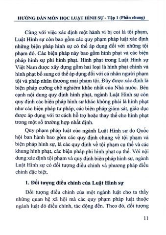  Hướng Dẫn Môn Học Luật Hình Sự - Tập 1 (Phần Chung)  - PGS.TS. Cao Thị Oanh 