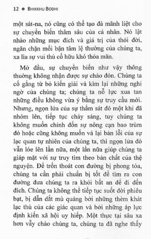  Bát Chánh Đạo - Con Đường Dẫn Đến Chấm Dứt Khổ Đau - Bhikkhu Bodhi 