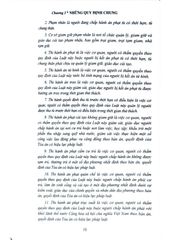 Bình Luận Luật Thi Hành Án Hình Sự Năm 2019 (Sách Chuyên Khảo) - Thượng tướng Lê Quý Vương