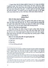 Bộ Luật Hình Sự Năm 2015 Sửa Đổi, Bổ Sung Năm 2017, Bộ Luật Tố Tụng Hình Sự, Luật Tổ Chức Cơ Quan Điều Tra Hình Sự, Luật Thi Hành Tạm Giữ, Tạm Giam  - Quốc Hội