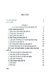Luật Quốc Tế (Xuất Bản Lần Thứ Ba, Có Chỉnh Sửa, Bổ Sung) - PGS.TS Ngô Hữu Phước (CTQG)