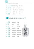  3000 từ vựng tiếng Nhật theo chủ đề 