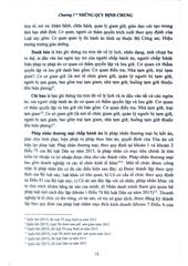 Bình Luận Luật Thi Hành Án Hình Sự Năm 2019 (Sách Chuyên Khảo) - Thượng tướng Lê Quý Vương