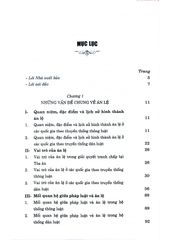 Án Lệ Việt Nam (Sách Chuyên Khảo) (Xuất Bản Lần Thứ Hai) - GS.TS. Nguyễn Hòa Bình (Chủ biên) (CTQG)