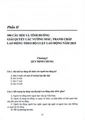 500 Câu Hỏi Và Tình Huống Giải Quyết Các Vướng Mắc, Tranh Chấp Lao Động Theo Bộ Luật Lao Động Năm 2019 - Luật sư, ThS. Nguyễn Thị Thu Hoài