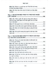 Bình Luận Luật Thi Hành Án Hình Sự Năm 2019 (Sách Chuyên Khảo) - Thượng tướng Lê Quý Vương