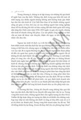 Sinh Tồn Của Đô Thị - Edward Glaeser & David Cutler