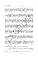 Sinh Tồn Của Đô Thị - Edward Glaeser & David Cutler