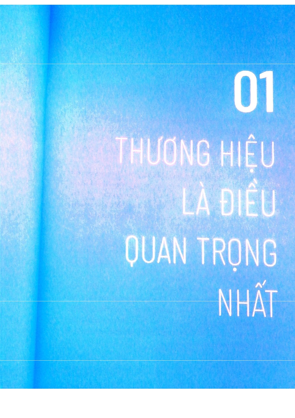 10 Bước Xây Dựng Thành Công Thương Hiệu Việt Trên Amazon