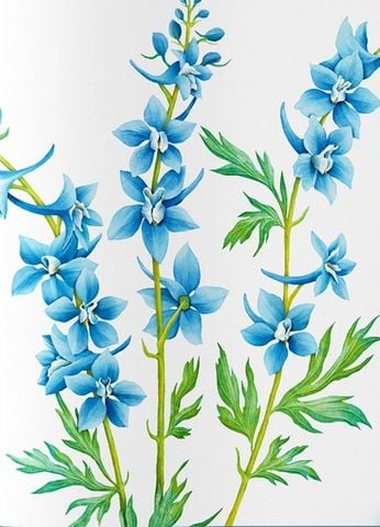  Vươn Mình Như Những Đoá Hoa - Những Bài Học Nhỏ Để Có Nguồn Vui Và An Lành Bất Tận - Liz Marvin, Rosie Dore 