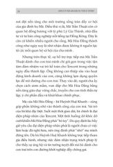 Những Bộ Óc Tỷ Đô - Mã Hóa Đằng - Người Biến "Mười Xu" Thành Tỷ Đô Trong Thế Giới Số - The Gurus