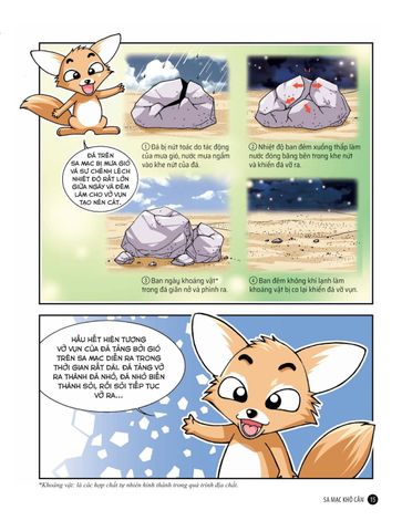  Combo 3 Quyển Quiz! Khoa Học Kì Thú - Về Thiên Nhiên ( Động Vật + Côn Trùng + Sa Mạc Rừng Rậm ) - Nhiều Tác Giả 