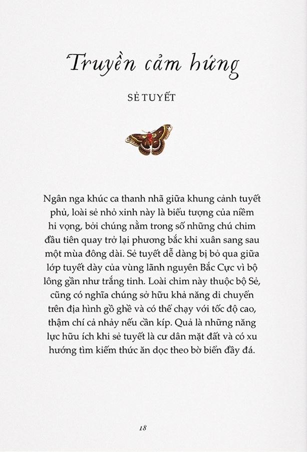 Sải Cánh Như Những Chú Chim - Những Bài Học Nhỏ Để Có Nguồn Năng Lượng Tích Cực Bất Tận - Alison Davies, John James Audubon