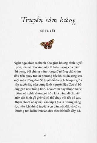  Sải Cánh Như Những Chú Chim - Những Bài Học Nhỏ Để Có Nguồn Năng Lượng Tích Cực Bất Tận - Alison Davies, John James Audubon 