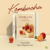  Kombucha - Tuyệt Đỉnh Thức Uống Lên Men - Hannah Crum, Alex LaGory 