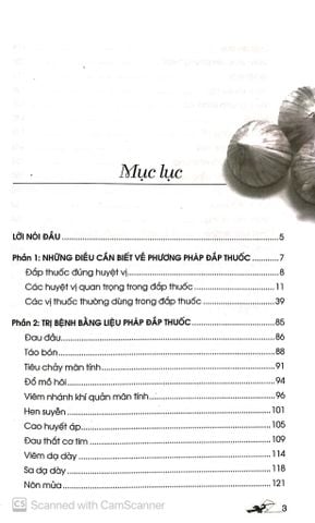  Dán Đắp Thuốc Trị Liệu 30 Bệnh Thường Gặp - Lý Nam Sinh 