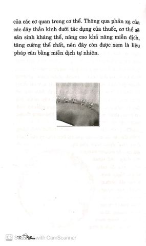  Dán Đắp Thuốc Trị Liệu 30 Bệnh Thường Gặp - Lý Nam Sinh 