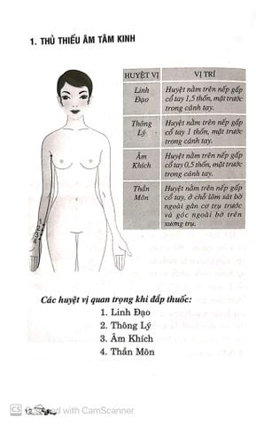  Dán Đắp Thuốc Trị Liệu 30 Bệnh Thường Gặp - Lý Nam Sinh 